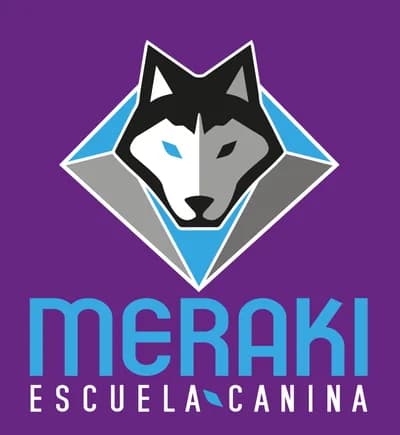 Logo Meraki