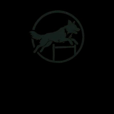Logo Selcan