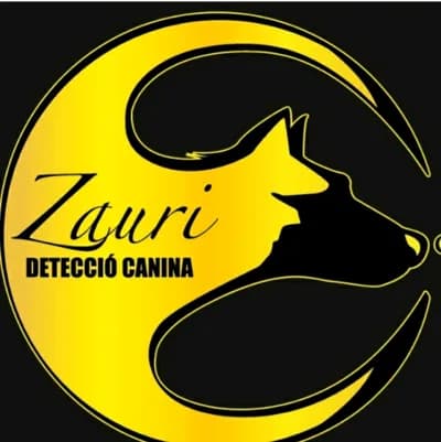 Logo Zauri